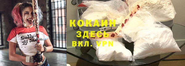 ПСИЛОЦИБИНОВЫЕ ГРИБЫ Армянск