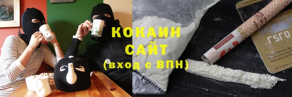 стаф Аркадак
