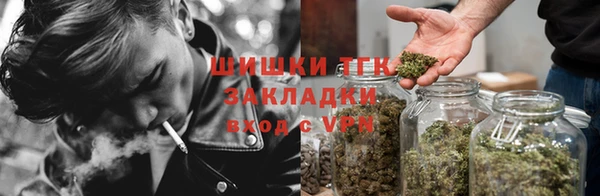ПСИЛОЦИБИНОВЫЕ ГРИБЫ Армянск