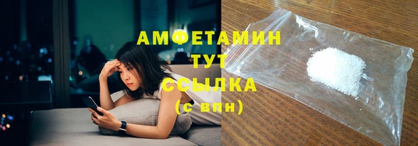 ПСИЛОЦИБИНОВЫЕ ГРИБЫ Арсеньев