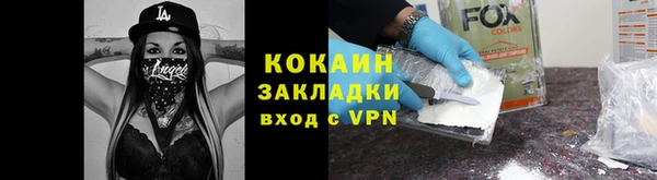 стаф Аркадак