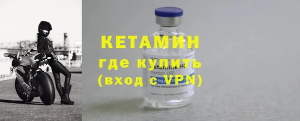 стаф Аркадак
