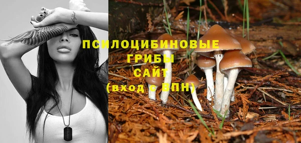 ПСИЛОЦИБИНОВЫЕ ГРИБЫ Арсеньев