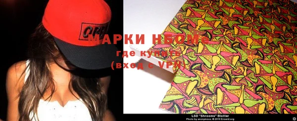 ПСИЛОЦИБИНОВЫЕ ГРИБЫ Арсеньев