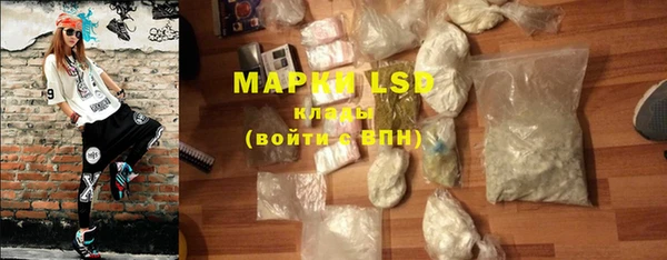 ПСИЛОЦИБИНОВЫЕ ГРИБЫ Арсеньев