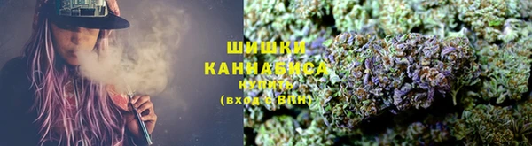 стаф Аркадак