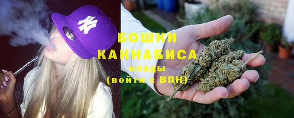 стаф Аркадак