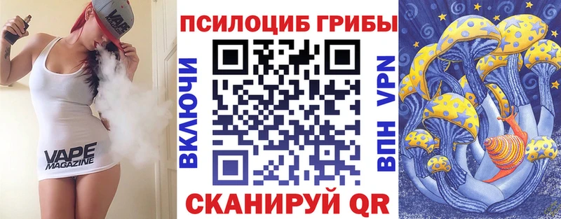 продажа наркотиков кракен зеркало Псилоцибиновые грибы мицелий Новоаннинский